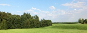 Bild_Wandern für Trauernde_angepasst